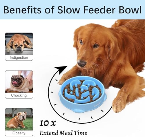 MateeyLife 2-Pack Slow Feeder Dog Bowls, 4 Cups, Dog Puzzle Feeder Bowl