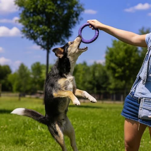 Dog Tug Toy, Dog Pull Ring Toy, Lightweight EVA Fitness Ring - Interactive Floating Fetch Toy for Dogs - Durable Soft Training Ring for Puppy & Active Dogs - Professional All-Terrain Pet Toy (Orange)