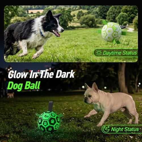 QDAN Glow in The Dark Dog Toys Soccer Ball with Straps, Outdoor Interactive Dog Toys Puppy Birthday Gifts, Dog Tug Water Toy, Light Up Dog Balls for Small & Medium Dogs（6 Inch Size 2） | Light Up Dog Balls for Small & Medium Dogs, 20-40 lbs Dogs Balls, ...