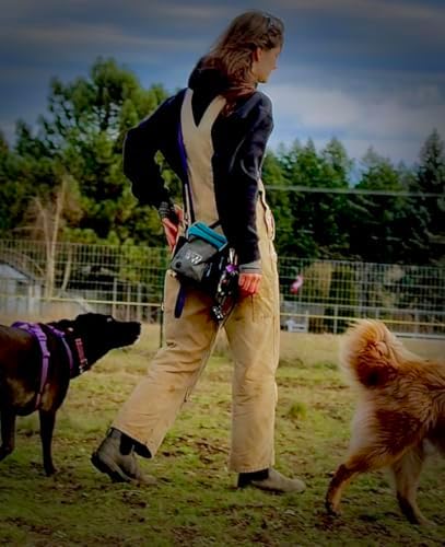 Multipurpose Pro Dog Treat Bag with Neoprene Split Top Dog Training Treat Pouch Bag with Shoulder Strap, Belt and Clip and Exterior Storage Pocket (Alpine Blue)