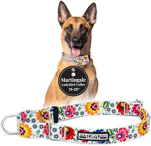 Lucky Love Dog Martingale Collar for Large Dogs No Slip – Ladybird, Large