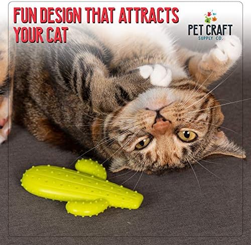 Pet Craft Supply Cactus Interactive Cat Toy Chew Toy Teeth Cleaning Bite Resistant 100% Natural Rubber with Bonus Catnip and Silvervine Bags for Kittens and Adult Cat