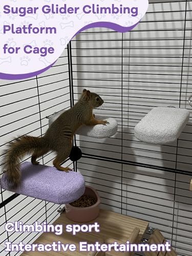 Chinchilla Lava Ledges Rat Climbing Platform 4 Pack Pumice Ledge Shelf Pet Chewing Grinding Toys Small Animals Cage Accessories for Totoro Squirrel Guinea Pig Hamster Purple