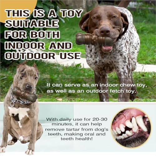 TLKNG Large Size Indestructible Squeaky Dog Chew Toy for Medium/Large Aggressive Chewers Breed Dogs Durable Squeak Bone Teething Crate Toys