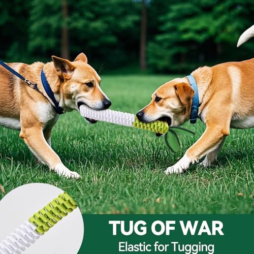 AUSCAT Carrot Dog Rope Toy, Durable Tug of War Toy with Squeaker, Braided Teething Toys for Small Medium Large Dogs, Radish