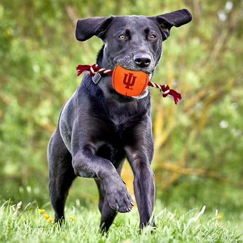 NCAA Indiana Hoosiers Basketball Rope Toy for Dogs & Cats. Tough Nylon, Sporty Basketball Design, Heavy-Duty Ropes with Inner Squeaker