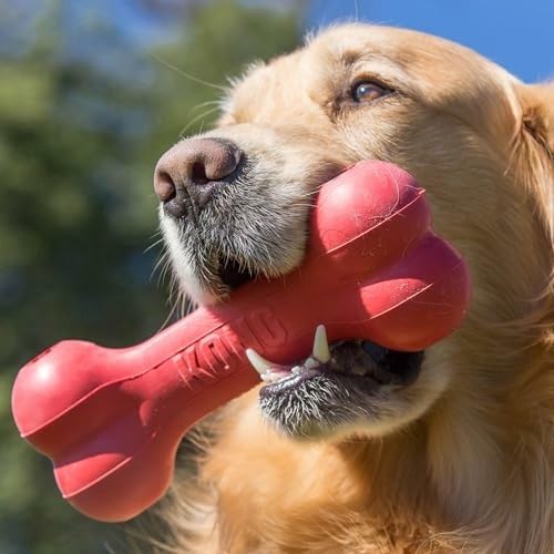 KONG Goodie Bone, Treat-Dispensing Toy, Red, for Small Dogs (Pack of 2) | Classic KONG Durable Natural Rubber Bone with Goodie Grippers That Hold Treats & Support Mental Engagement