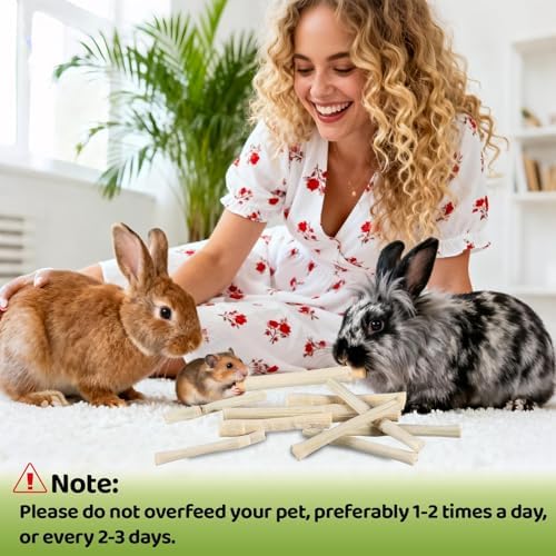 Sukh 240g Rabbit Chew Sticks - Natural Sweet Bamboo Chew for Small Animals