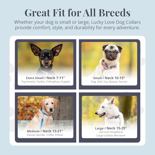 Lucky Love Dog Martingale Collar for Medium Dogs No Slip – Ladybird, Medium