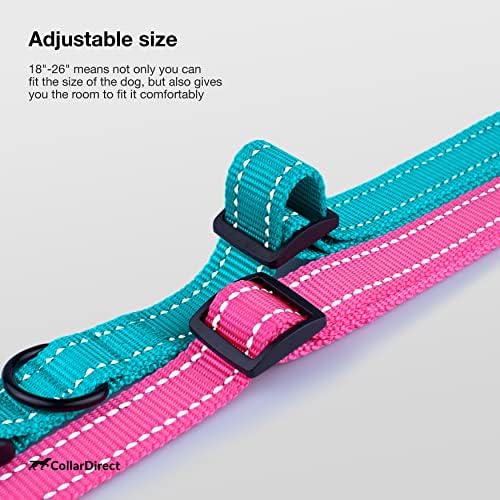 Reflective Dog Collar, Quick-Release Buckle (Light Blue, 18-26 Inch)