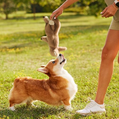 Fuzzwoof No-Stuffing Bunny Squeaky Dog Toy, Cute Plush Puppy Teething Toy