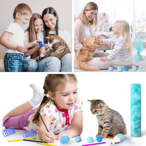 Foilswirl 24 Pcs Cat Toys Set Interactive Kitten Toys Pack, Blue