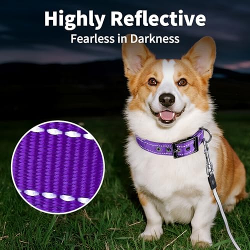 Segarty Reflective Medium Dog Collar, Adjustable Wide Soft Comfortable Breathable Neoprene Padded Nylon Collar with Heavy Duty Metal Buckle for Medium Small Breeds (M, Purple)
