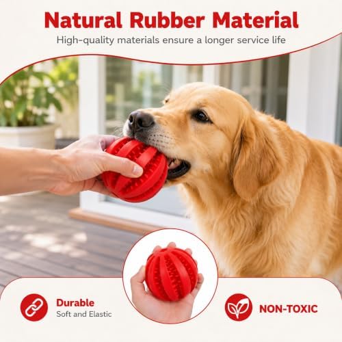 GASHIK Dog Treat Ball for Dogs, Rubber Dental Chew Toy for Dogs