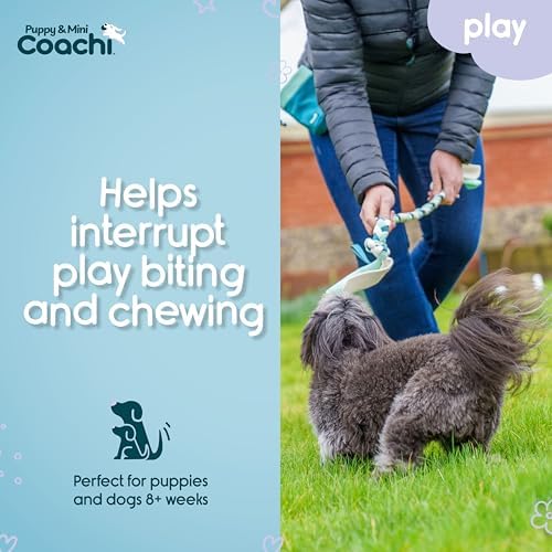 Coachi Puppy & Mini Tuggi Tug - Dog Toy for Tug of War & Play