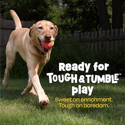 Brightkins Tough & Tumble 2 Piece Watermelon Treat Dispenser - Interactive Dog Toys, Treat Dispensing Dog Toys, Slow Feeders for Dogs, Puppy Training Tools, Puzzle Toy for Dogs, Enrichment Pet Toy