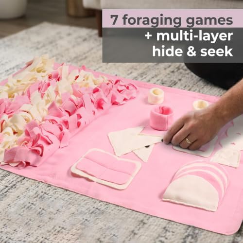 Snuffle Mat for Dogs: Slow Food Interactive Experience