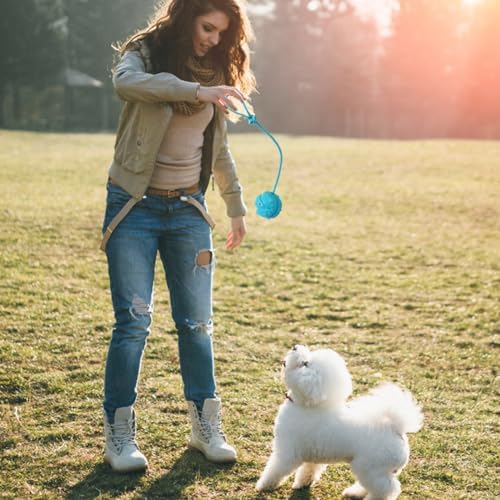 Dog Training Ball on Rope, 2Pcs Dog Rope Toys for Chew Training, Pull Throw and Fetch