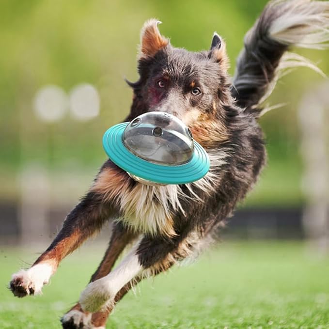 Dog Food Dispenser Dog Treat Pet Food Dispenser Puzzle Dispensing Puzzle Feeder Cat Treat s Pet Feed Training Bite
