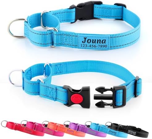 Personalized Martingale Collar for Dogs with Name and Phone Number