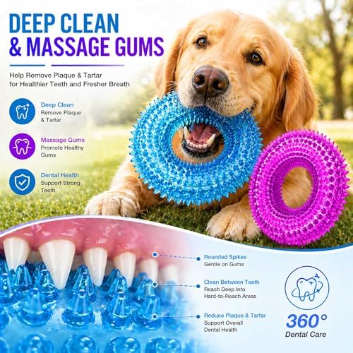 Dog Chew Toys for Aggressive Chewers, Squeaky Floating Donut Rings, 2 Pack