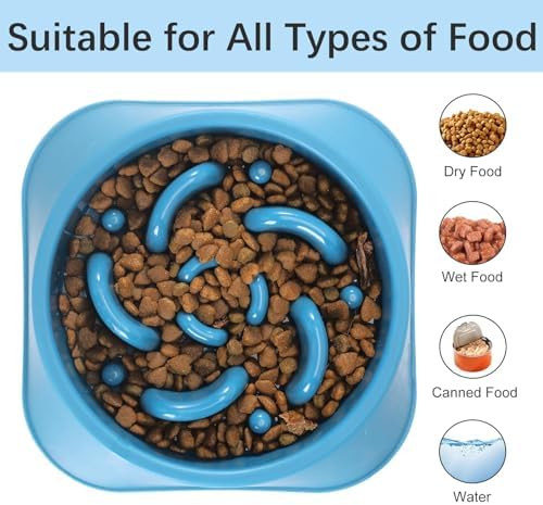 MateeyLife 1-Pack Slow Feeder Dog Bowls, 2 Cups, Dog Puzzle Feeder Bowl