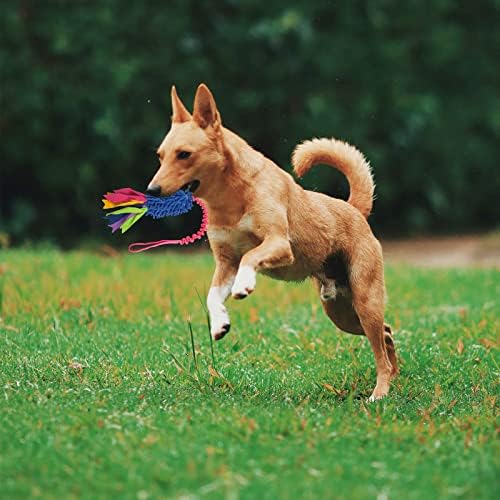 wodoca Dog Tug Toy, Dog Toys for Aggressive Chewers, Strong Squeak Rope Toy
