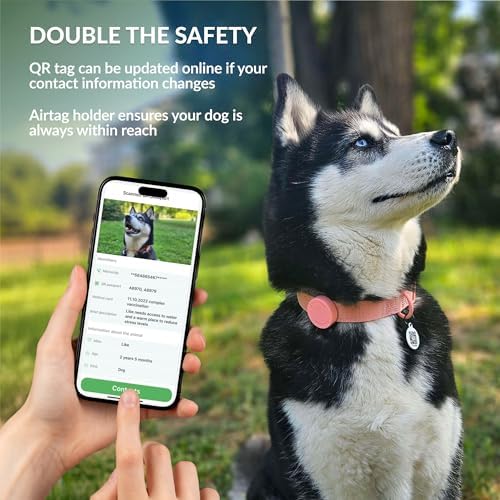 CollarDirect Airtag Nylon Dog Collar Silicon Holder Designed for Apple Airtag with QR Tags Personalized Dogs Puppies 5 Colors Black Pink Violet Green Orange (Pink, S)