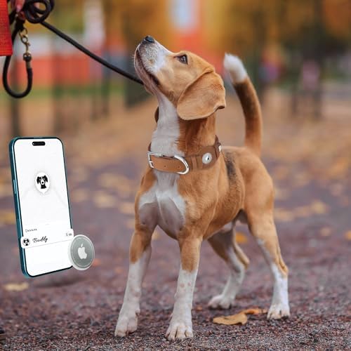 Leather Dog Collar with Airtag Holder - Apple Air Tag Dog Collars - Soft Tracking GPS Pet Collar for Small Medium Large Dogs Breed Puppy (Brown, XL, 19"-24" Neck Fit)