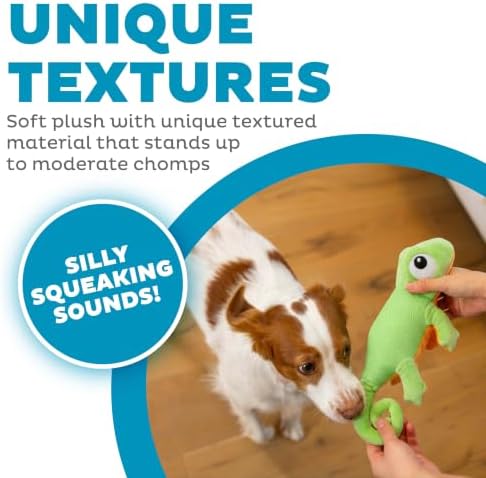 Outward Hound Coated Critterz Dog Toy – Plush & Molded Texture, Squeaky Fetch, Small & Medium Dogs, Lizard, 10.4"