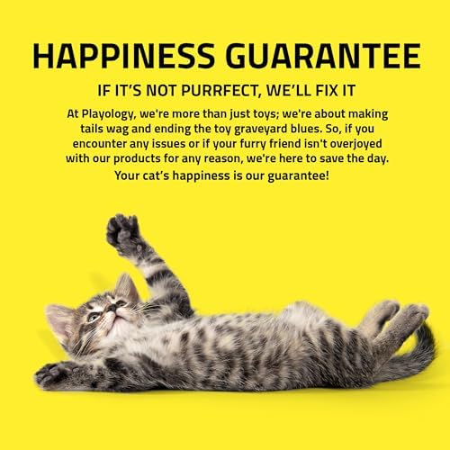 Playology Cat Toys | Interactive Toy Teaser Fish & Snake Cat Toys for Indoor Cats | Toy Made from Non Toxic Materials