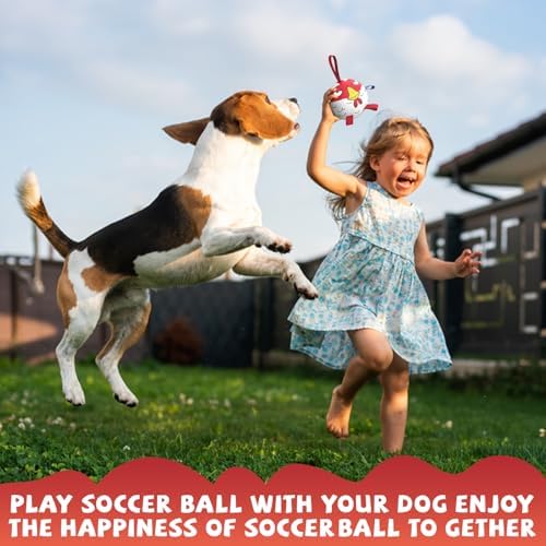 QDAN Small Puppy Dog Soccer Ball with Straps, Durable Herding Toys, 5 Inch