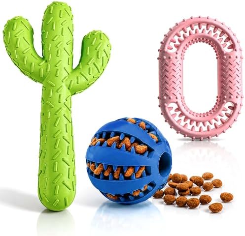 3-Piece Dog Chew Toy Set - Durable Rubber Cactus, Dental Ring, and Treat Leakage Ball - Tough Interactive Molar Toys for Puppy & Medium Dogs - Multi-Color