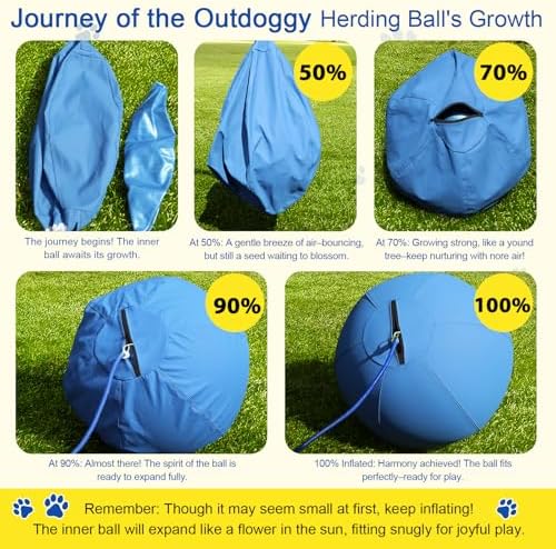 18'' Herding Ball for Dogs, Heavy Duty for Small & Medium Breeds