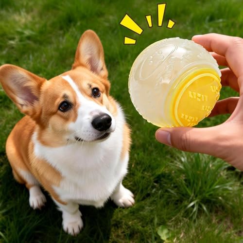 Glow Balls for Dogs Rubber Glow Squeaky Interactive Fun Toys