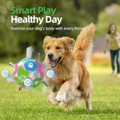 QDAN 6 Inch Dog Toy, Durable Dog Soccer Balls with Straps to Keep Them Busy
