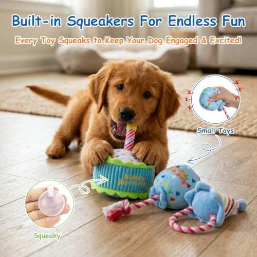 Hollypet Squeaky Hide and Seek Dog Toys for Small and Medium Dogs, Birthday
