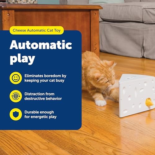 PetSafe Cheese - Interactive, Electronic Cat Toy - Peek-A-Boo Mouse Hunt Game - Hide and Seek for Bored and Anxious Cats - Kitten Teaser Toy - Automated Cat Toy for Cat Enrichment and Exercise