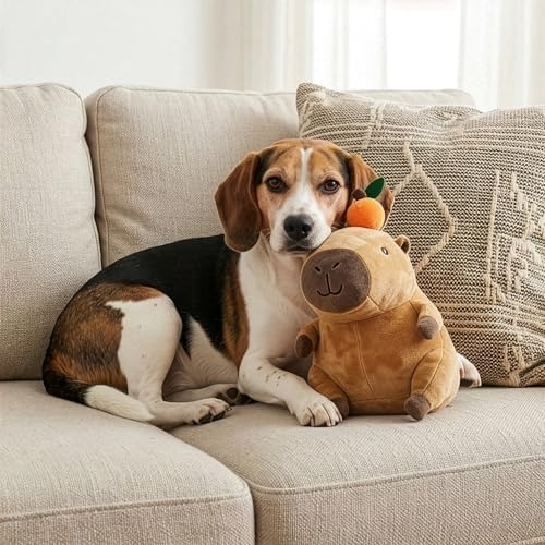SPOT Capybara with Orange Plush Dog Toy, Soft Stuffed Squeaky & Crinkle Toy for Calm and Gentle Play, Adorable Capybara, for Light Chewers and Small Dogs, 8 Inch