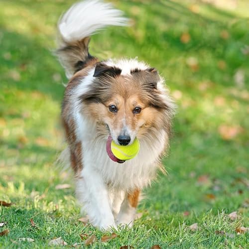 MEKAPLE 6 Pack Mini Tennis Balls for Pet Playing Fecth, 2 inch Dogs Training Tennis Balls for Small Size Dogs, Interactive Dog Playing Balls Fits 2 inch Automatic Dog Ball Launcher
