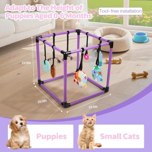 Liitrton Puppy Play Gym for Small Dogs with 8 Hanging Toys, Purple