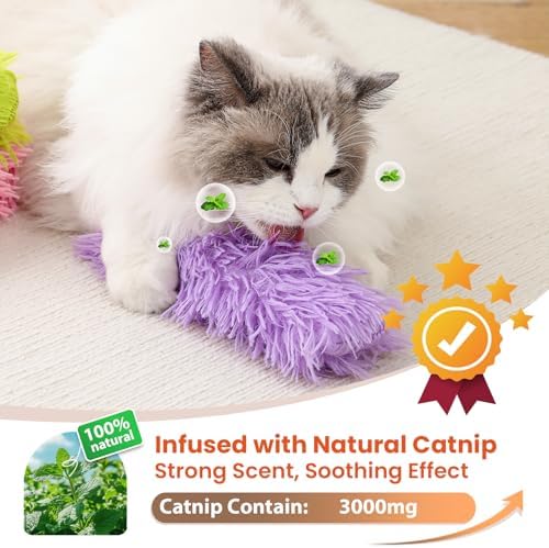 Cat Toys, 3 Pack Crinkle Catnip Pillow Toys for Indoor Cats