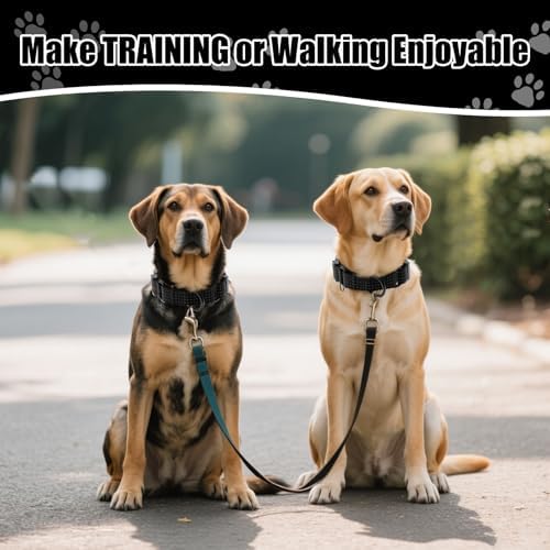 Martingale Dog Collar, Reflective No Pull with Buckle, Black, L
