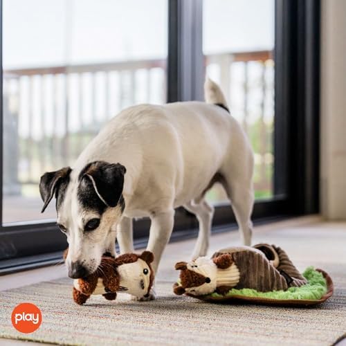 P.L.A.Y. Cute Plush Dog Toys - Forest Friends Critter Themed Durable Interactive Squeaker Chew Toy, Great for Puppies & Small, Medium, Large Dogs - Machine Washable, Recycled Materials (Chipmunks)