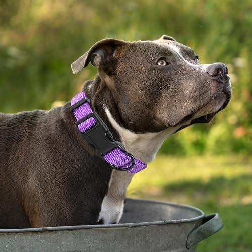 Mile High Life Reflective Dog Collar, Adjustable Lightweight Quick Release