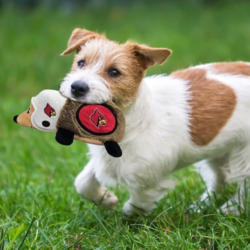 NCAA Louisville Cardinals Plush Hedgehog Toy for Dogs & Cats, Cool Soft Pet Toy for Fun and Interactive Play, Dog Chew Toy with Squeaker, Licensed Hot Pet Toy