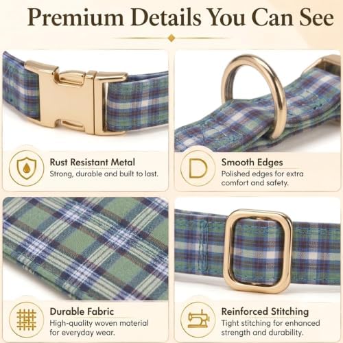 Medium Dog Collar Plaid, Soft Cotton, Metal Clasp, Highland Blue Tartan