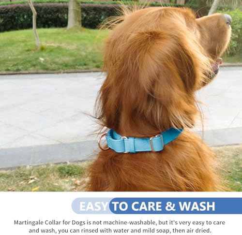 Soft Leather Martingale Dog Collar - Adjustable Rose Gold Limited Slip Collars [Easy to Clean], Stylish Durable Heavy Duty Nylon No Pull Training Collar for Small Medium Large Dogs XS Light Blue