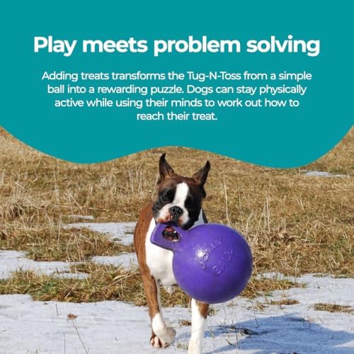 Jolly Pets Tug-n-Toss Heavy Duty Dog Toy Ball with Handle, 8 Inches/Large, Purple