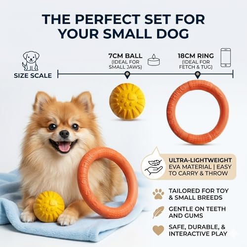 Small Dog Ball with Strap, Floating EVA Interactive Toy (Orange, Small)